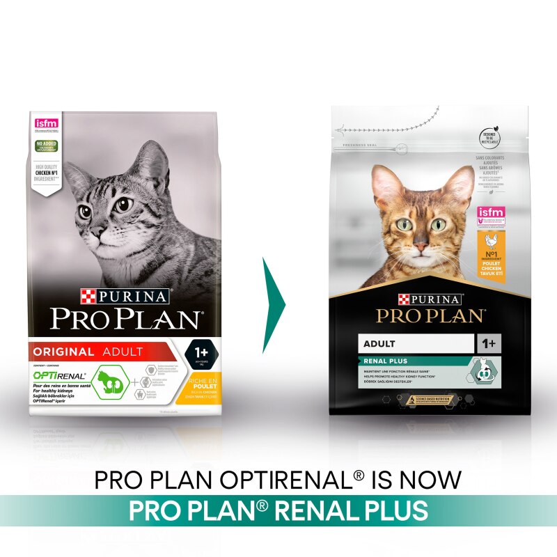 Pro Plan Cat Original Adult Chicken Dry Cat Food 10kg Buy Pro Plan online at